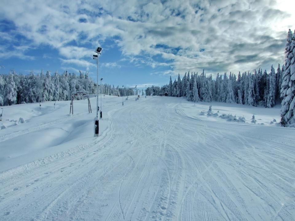 Hotel Superski Cavnic Dış mekan fotoğraf