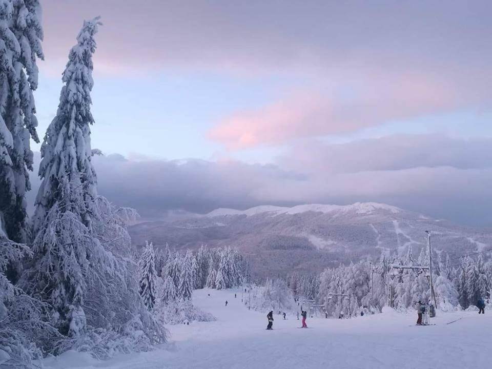 Hotel Superski Cavnic Dış mekan fotoğraf