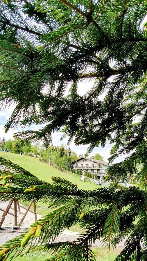 Hotel Superski Cavnic Dış mekan fotoğraf